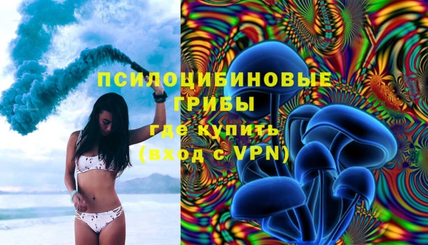 spice Балабаново